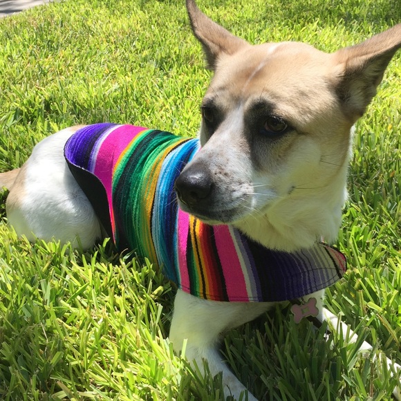 Meet your Posher, Sara - Picture 1 of 1